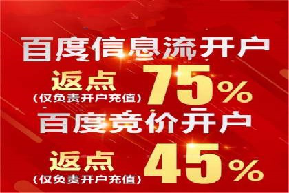某某SEM公司：一则关于搜索引擎营销的经典成功案例